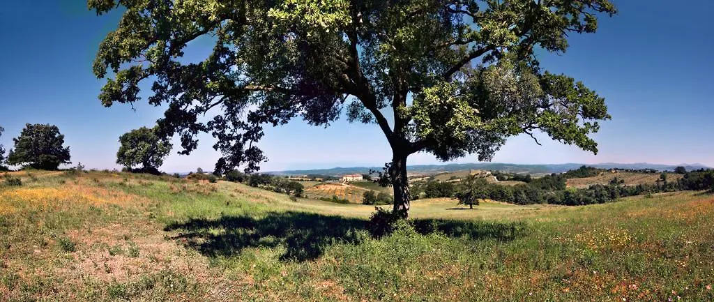 Agriturismo Poggio Mirabile Manciano 0*,